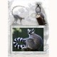ZOO GREETING CARD Lemur Station